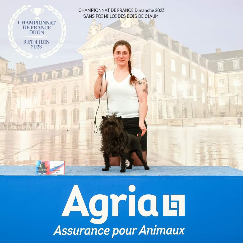 Sans foi ni loi des bois de ciaum